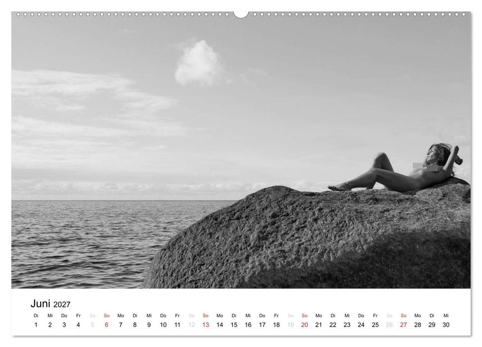 Klassischer Akt schwarz und weiß (CALVENDO Wandkalender 2027)