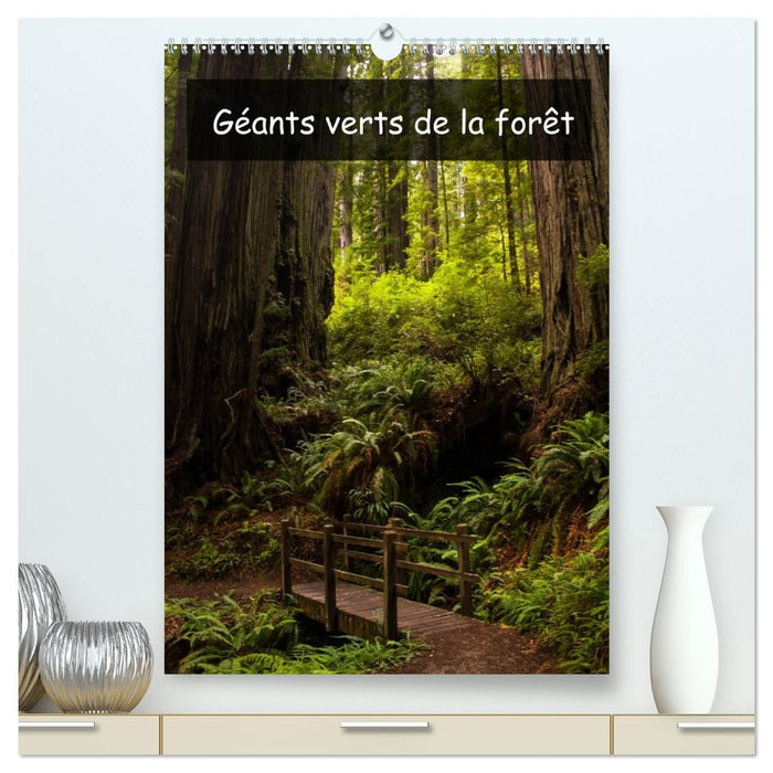 Géants verts de la forêt (CALVENDO Calendrier supérieur 2027)