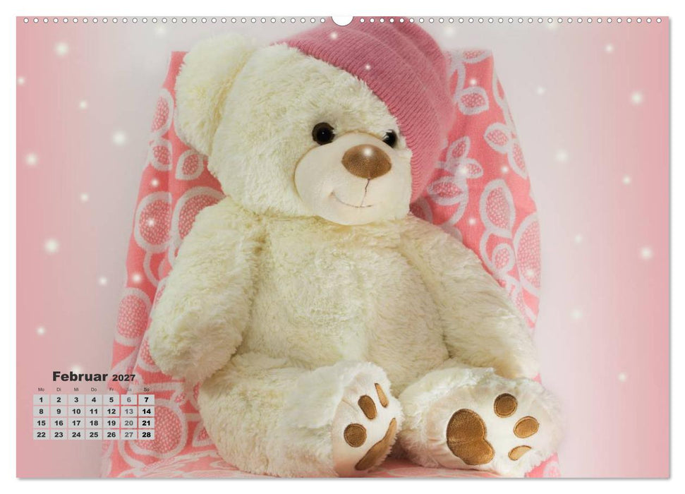 Teddys, wollen wir Kalender anschauen? (CALVENDO Wandkalender 2027)