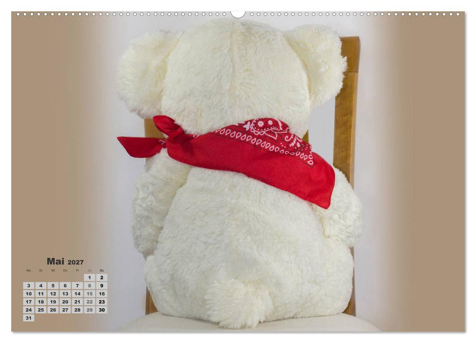 Teddys, wollen wir Kalender anschauen? (CALVENDO Wandkalender 2027)