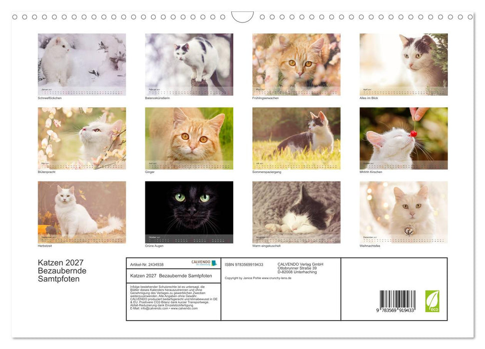 Katzen 2027 Bezaubernde Samtpfoten (CALVENDO Wandkalender 2027)