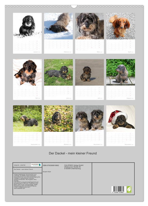 Der Dackel - mein kleiner Freund (CALVENDO Wandkalender 2027)