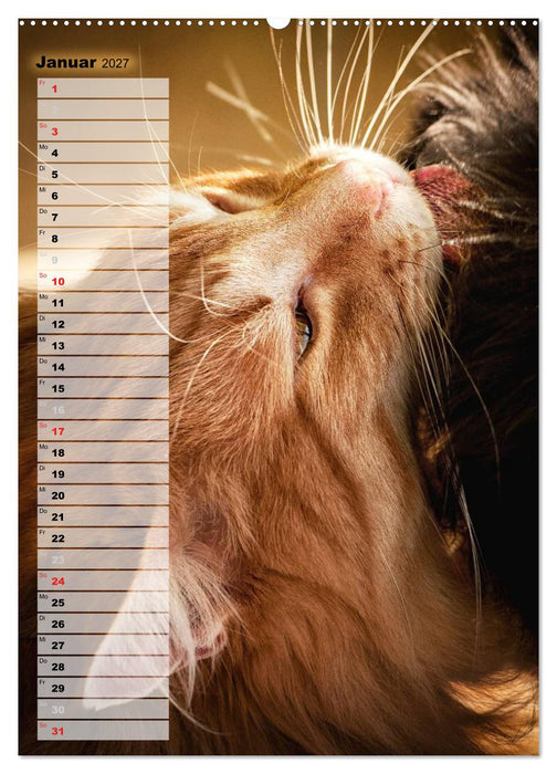 DIE GEFÜHLSWELT (CALVENDO Wandkalender 2027)