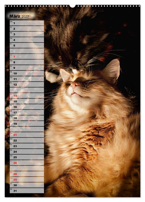 DIE GEFÜHLSWELT (CALVENDO Wandkalender 2027)