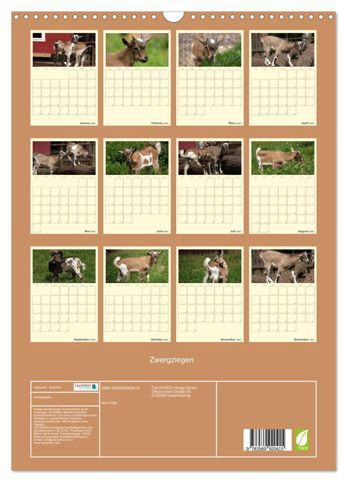 Zwergziegen (CALVENDO Wandkalender 2027)