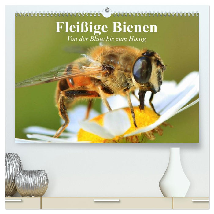 Fleißige Bienen. Von der Blüte bis zum Honig (CALVENDO Premium Wandkalender 2027)