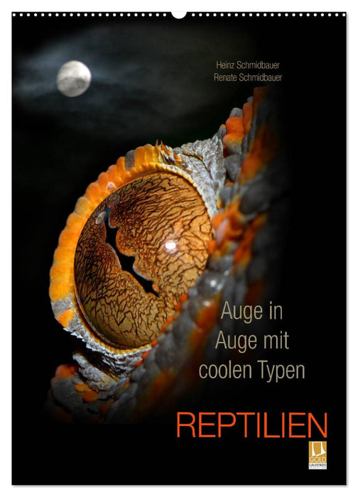 Auge in Auge mit coolen Typen - REPTILIEN (CALVENDO Wandkalender 2027)