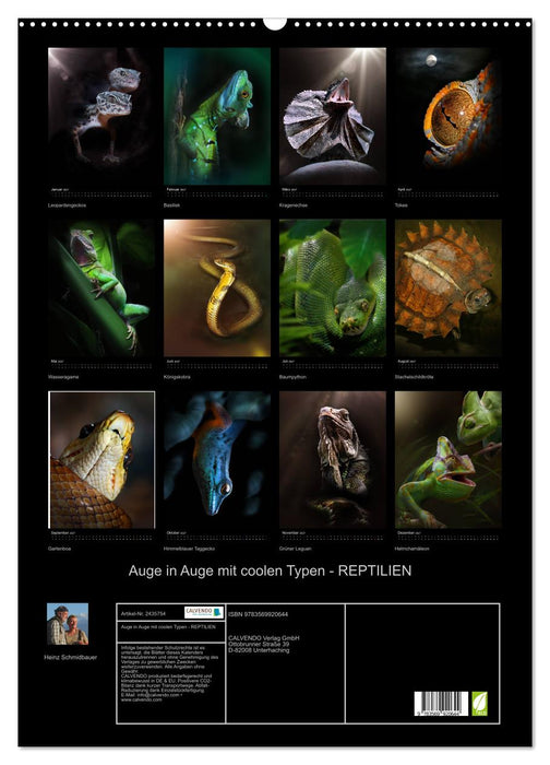 Auge in Auge mit coolen Typen - REPTILIEN (CALVENDO Wandkalender 2027)
