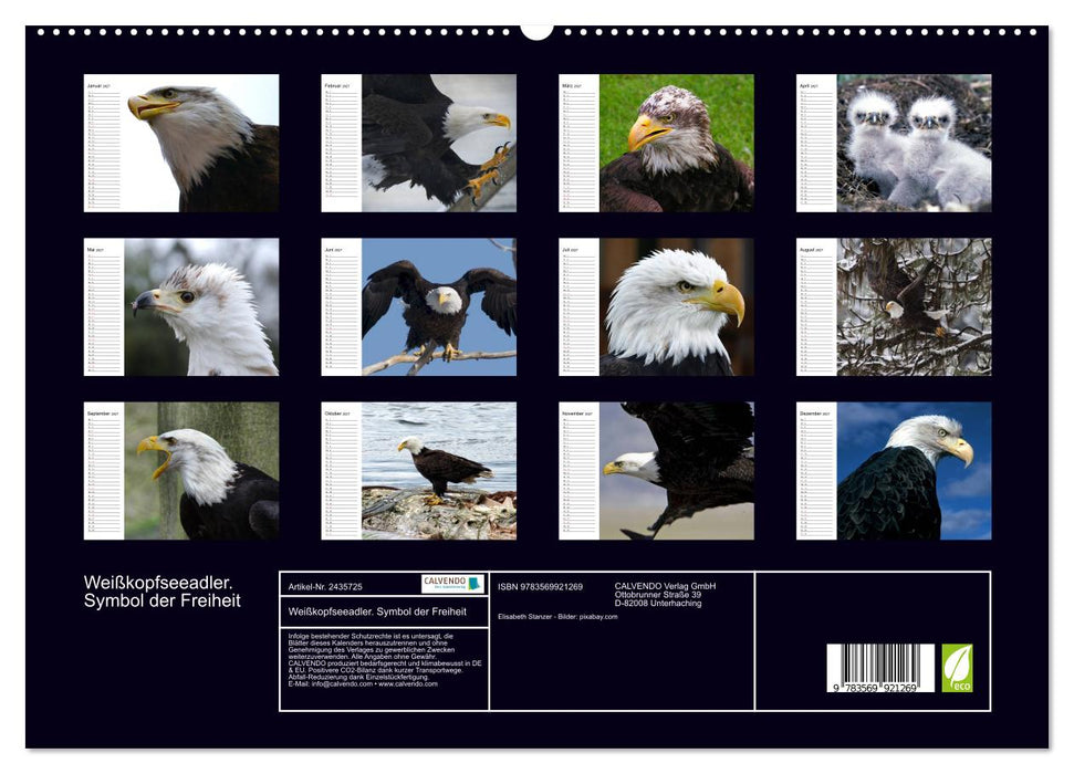 Weißkopfseeadler. Symbol der Freiheit (CALVENDO Premium Wandkalender 2027)