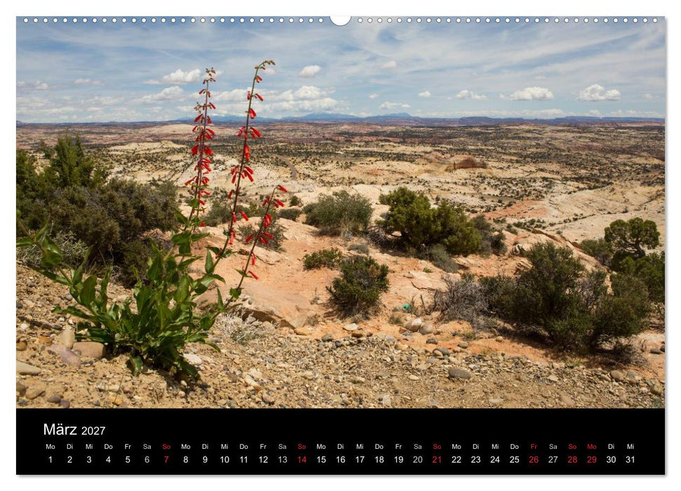 Felslandschaften (CALVENDO Premium Wandkalender 2027)