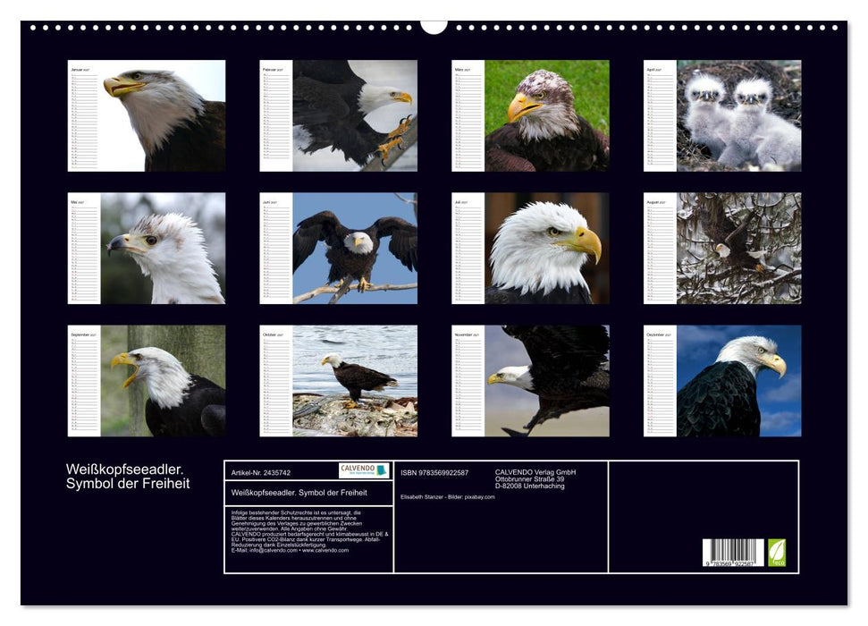 Weißkopfseeadler. Symbol der Freiheit (CALVENDO Wandkalender 2027)