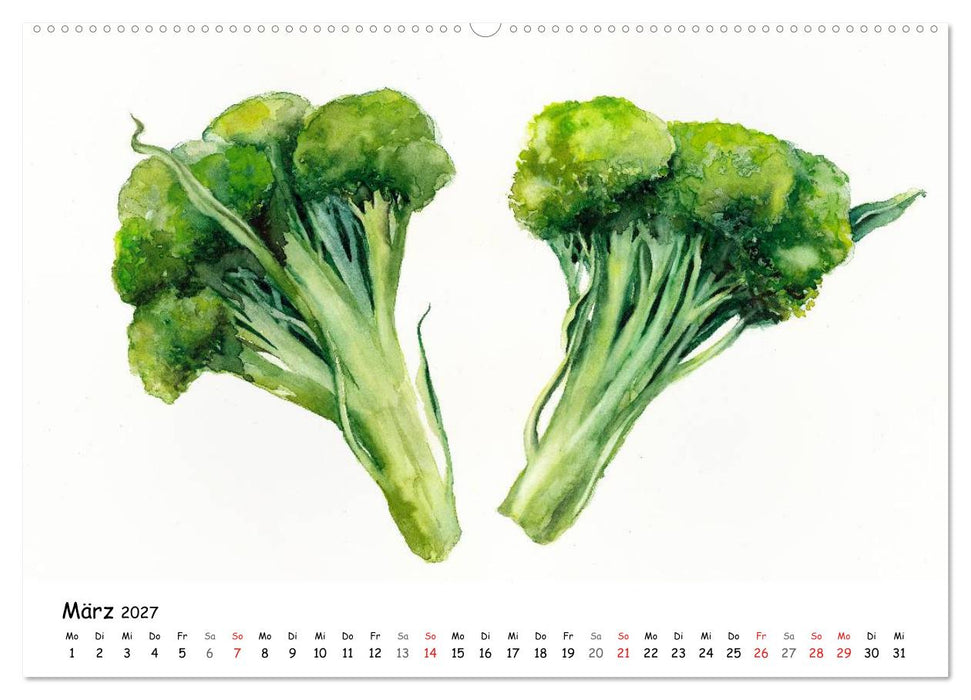 Gemüse Aquarelle (CALVENDO Premium Wandkalender 2027)