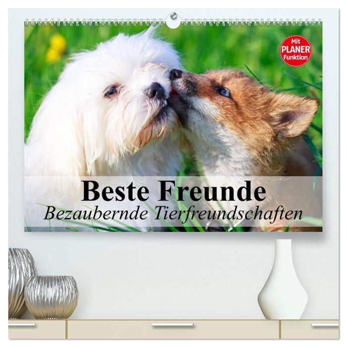 Beste Freunde. Bezaubernde Tierfreundschaften (CALVENDO Premium Wandkalender 2027)