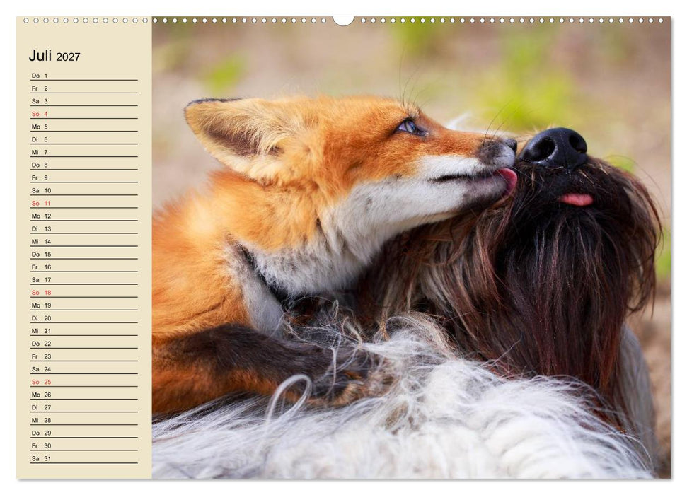Beste Freunde. Bezaubernde Tierfreundschaften (CALVENDO Premium Wandkalender 2027)