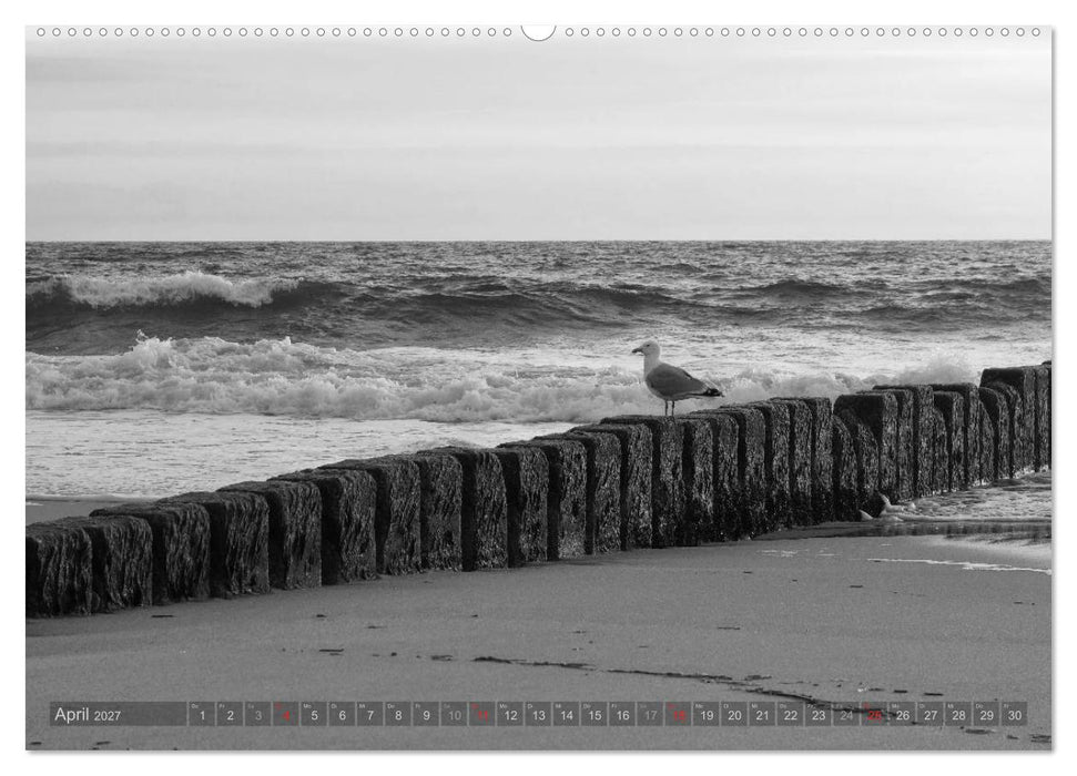 54°54'57"N 8°19'51"E SYLT (CALVENDO Wandkalender 2027)