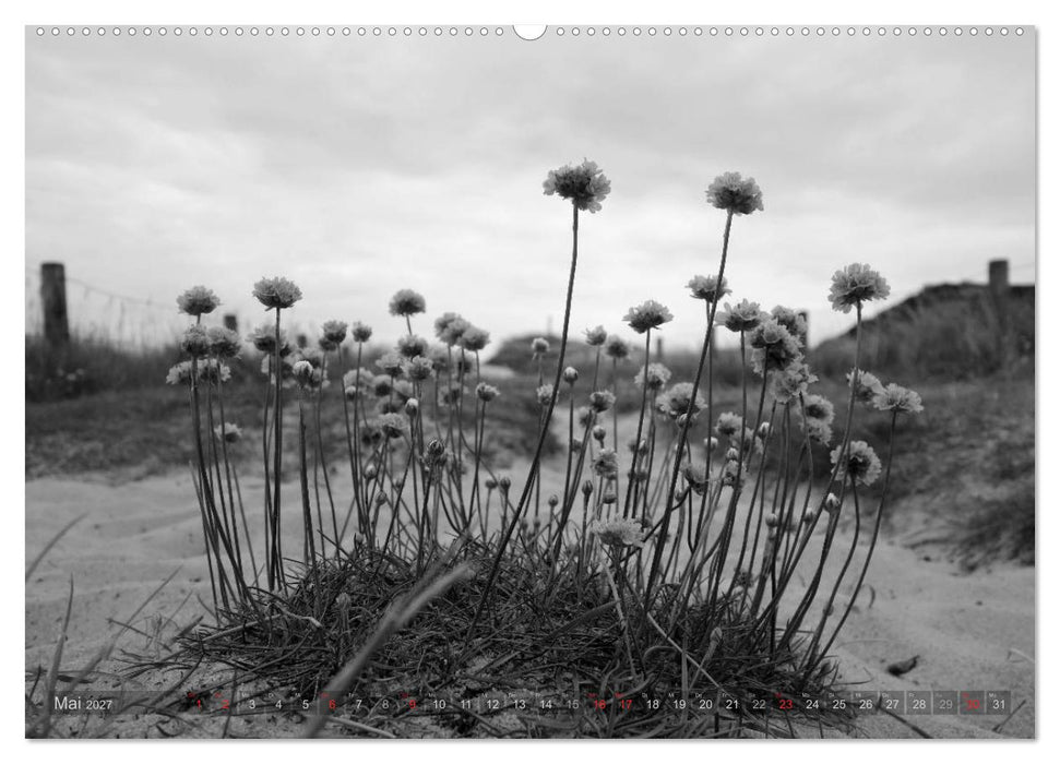 54°54'57"N 8°19'51"E SYLT (CALVENDO Wandkalender 2027)