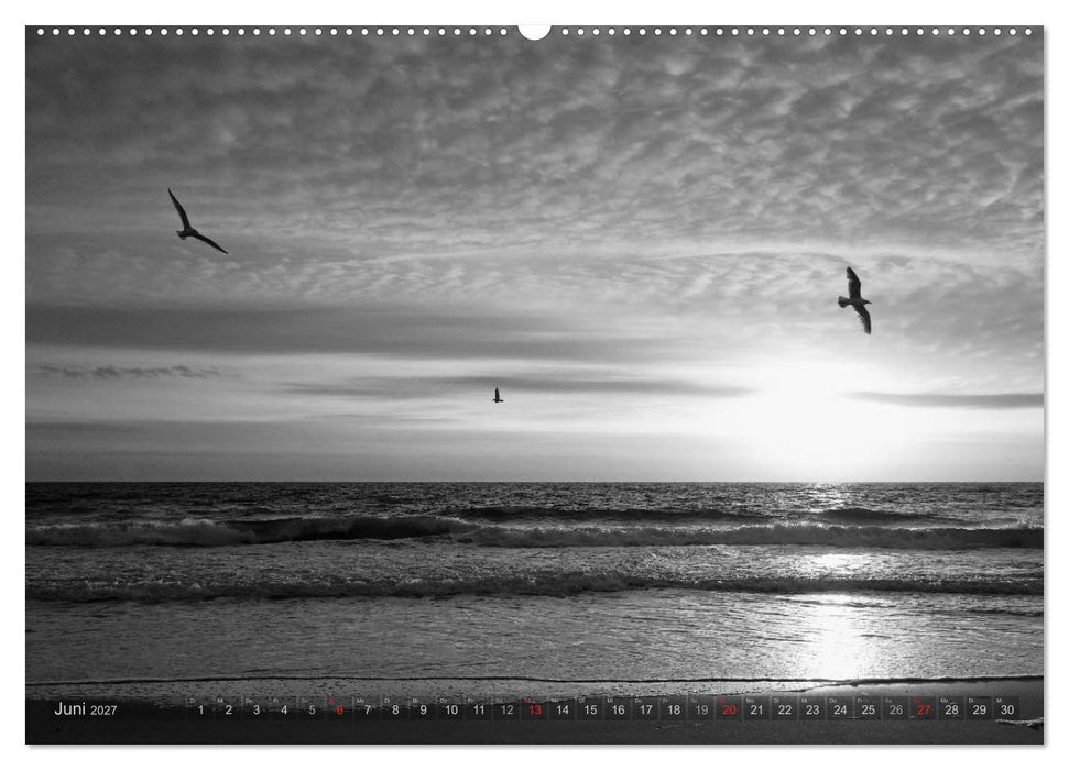 54°54'57"N 8°19'51"E SYLT (CALVENDO Wandkalender 2027)