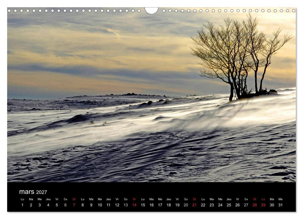AUBRAC (CALVENDO Calendrier mensuel 2027)