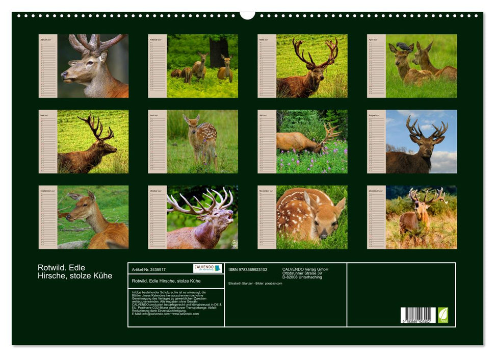 Rotwild. Edle Hirsche, stolze Kühe (CALVENDO Wandkalender 2027)