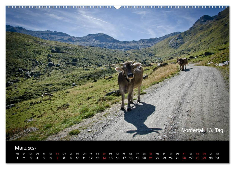 TransAlp - zu Fuß über die Alpen von München nach Venedig (CALVENDO Premium Wandkalender 2027)