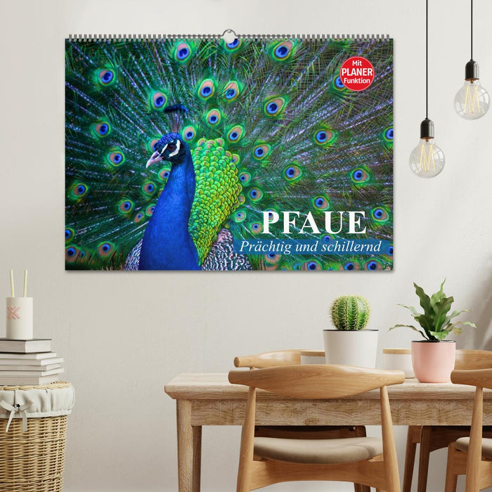 Pfaue. Prächtig und schillernd (CALVENDO Wandkalender 2027)