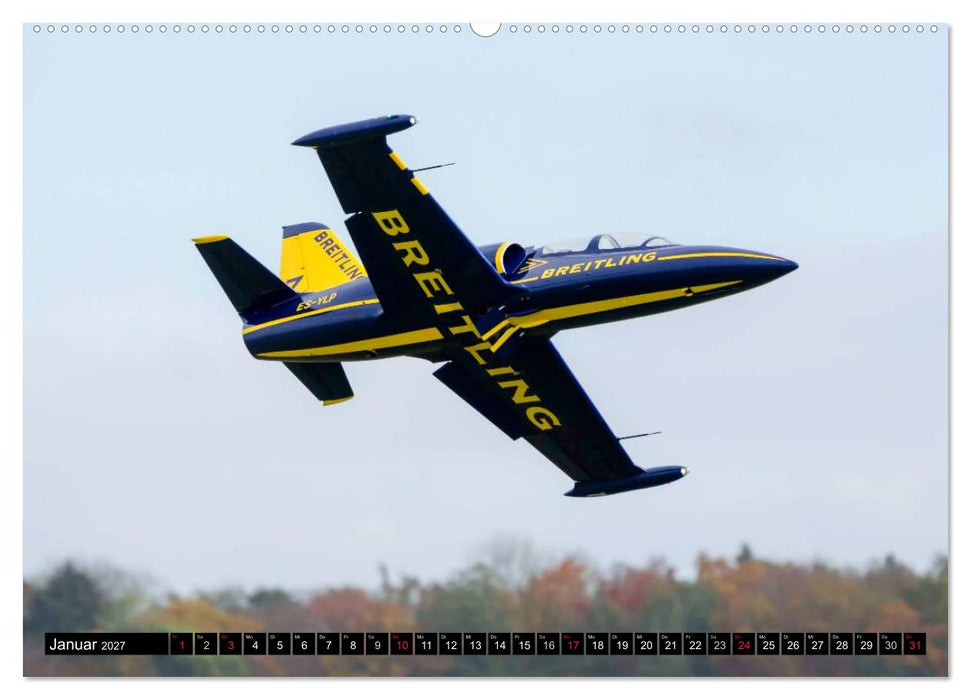 Modellflugzeuge über Friedrichshafen (CALVENDO Wandkalender 2027)