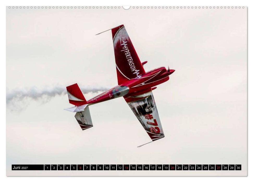 Modellflugzeuge über Friedrichshafen (CALVENDO Wandkalender 2027)