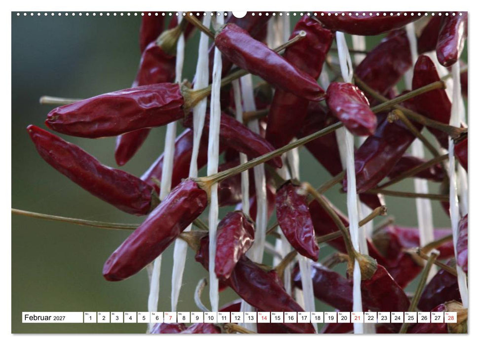 Für Chili Liebhaber (CALVENDO Wandkalender 2027)