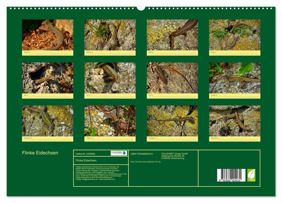 Flinke Eidechsen (CALVENDO Premium Wandkalender 2027)