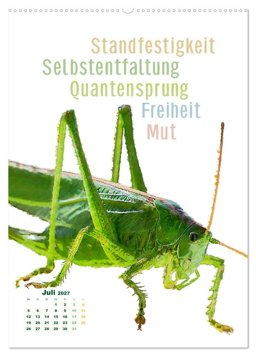 Krafttiere - Inspirierende Begleiter voller Magie und Seele (CALVENDO Premium Wandkalender 2027)