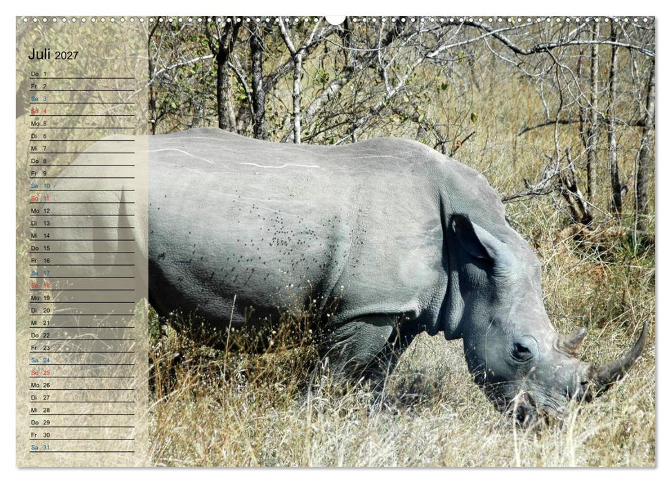 Süd Afrika - vom Krüger Nationalpark bis nach Kapstadt (CALVENDO Premium Wandkalender 2027)