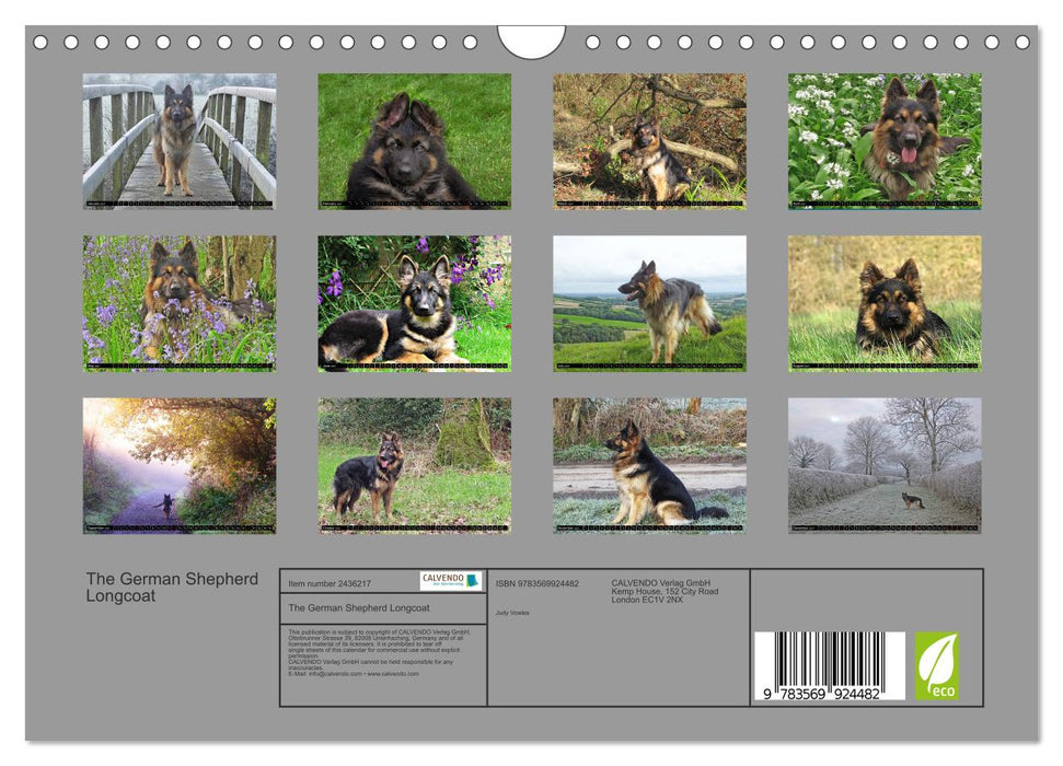 The German Shepherd Longcoat (CALVENDO Monthly Calendar 2027)