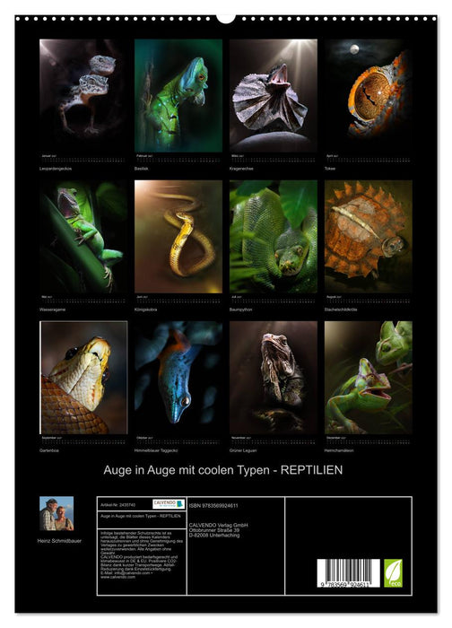 Auge in Auge mit coolen Typen - REPTILIEN (CALVENDO Premium Wandkalender 2027)