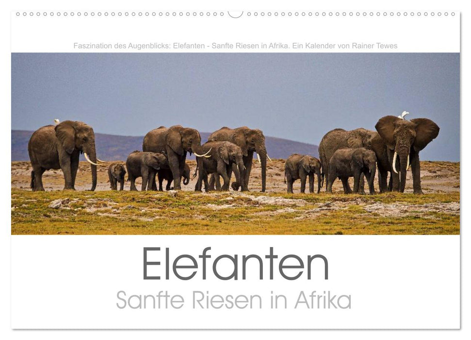 Elefanten - Sanfte Riesen in Afrika (CALVENDO Wandkalender 2027)