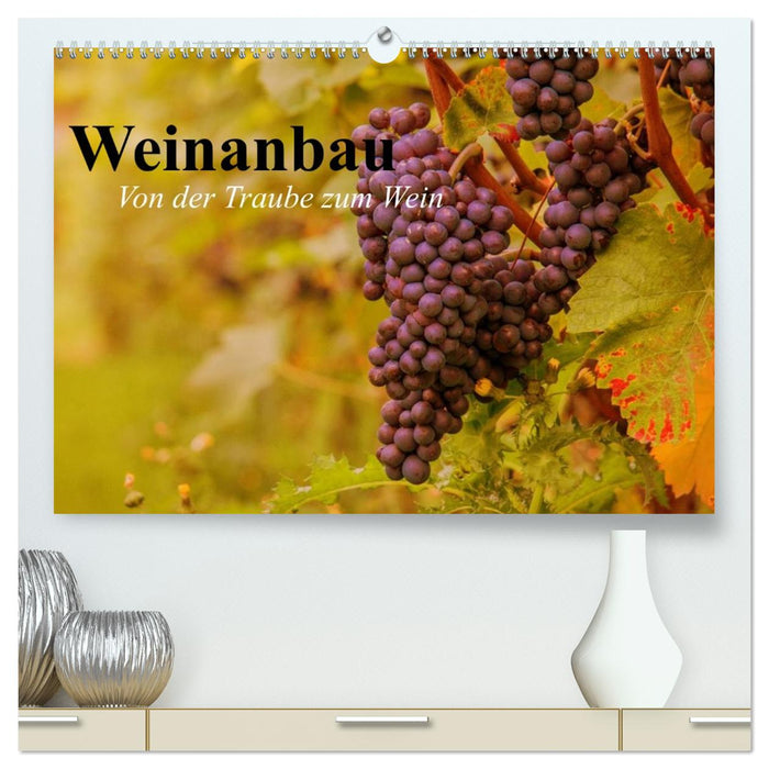 Weinanbau. Von der Traube zum Wein (CALVENDO Premium Wandkalender 2027)