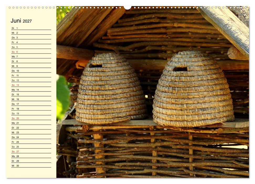 Fleißige Bienen. Von der Blüte bis zum Honig (CALVENDO Wandkalender 2027)