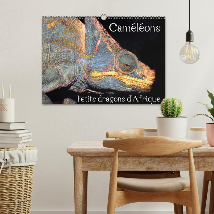 Caméléons - Petits dragons d'Afrique. (CALVENDO Calendrier mensuel 2027)
