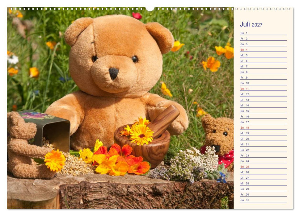 Geliebte Bären - Teddys (CALVENDO Premium Wandkalender 2027)