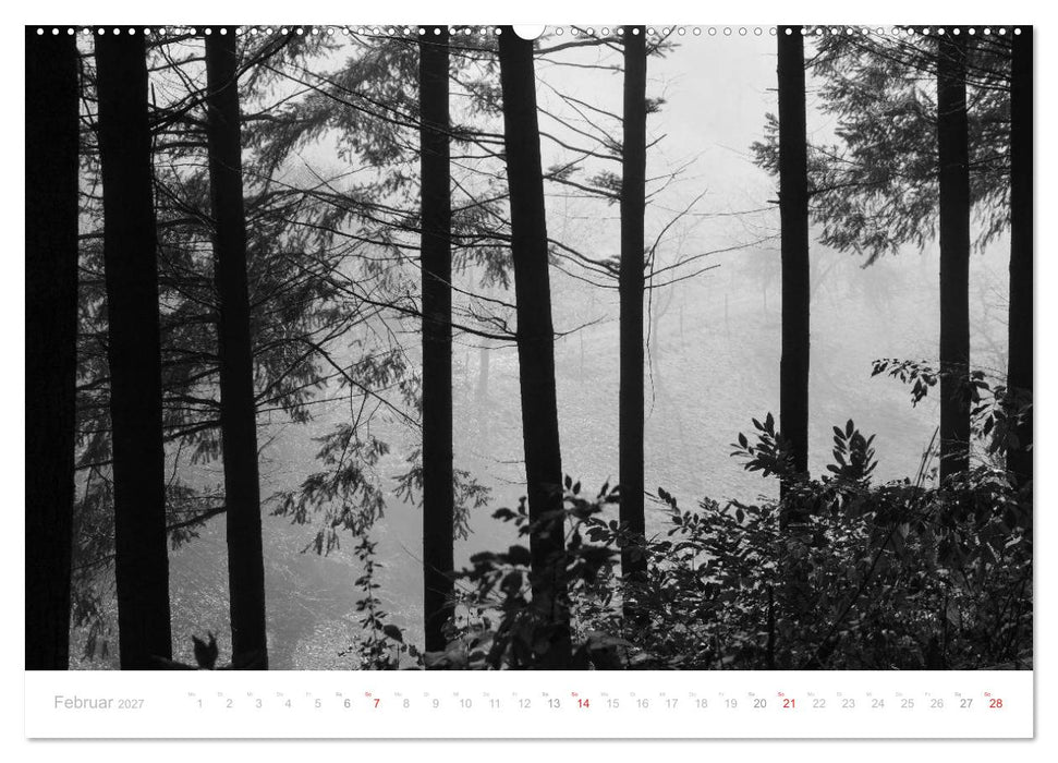 Mystischer Schwarzwald (CALVENDO Wandkalender 2027)