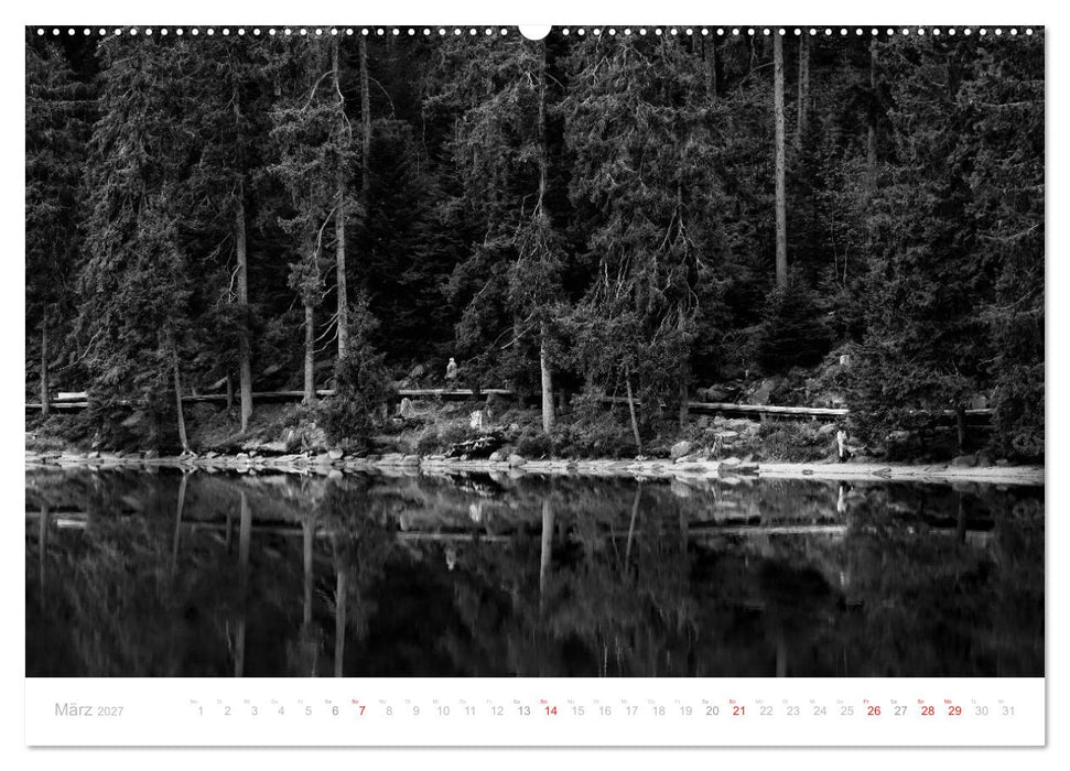 Mystischer Schwarzwald (CALVENDO Wandkalender 2027)