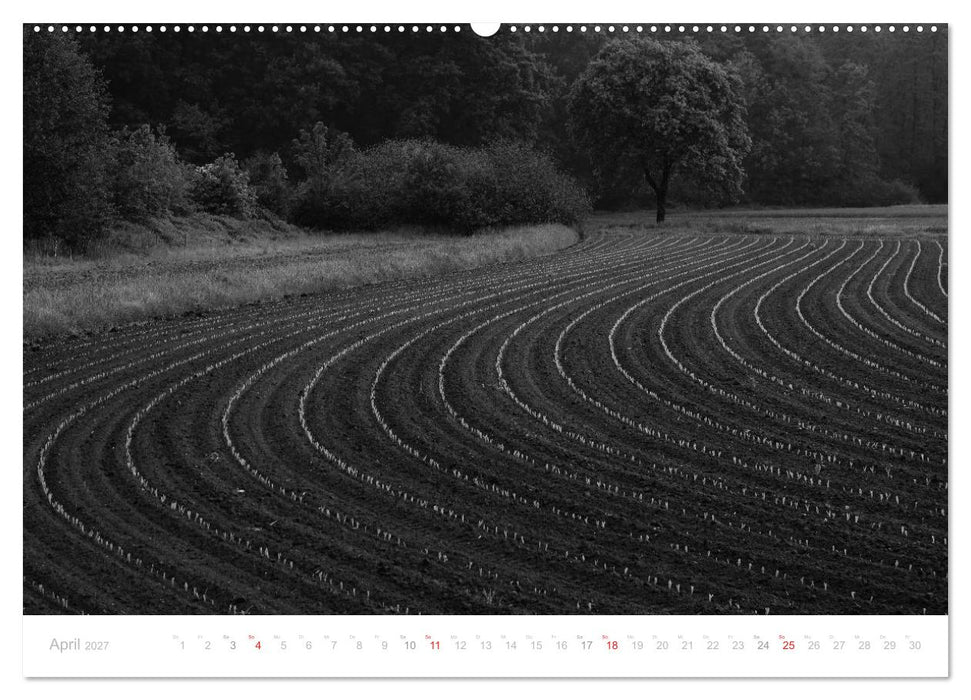 Mystischer Schwarzwald (CALVENDO Wandkalender 2027)