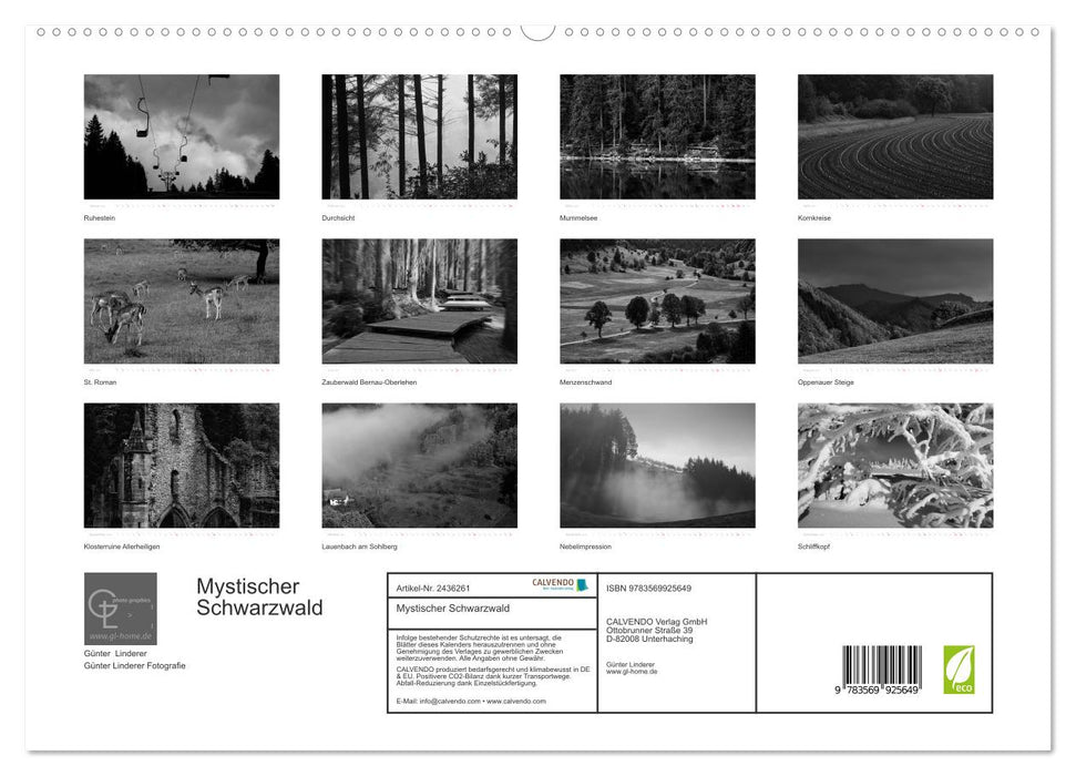 Mystischer Schwarzwald (CALVENDO Premium Wandkalender 2027)