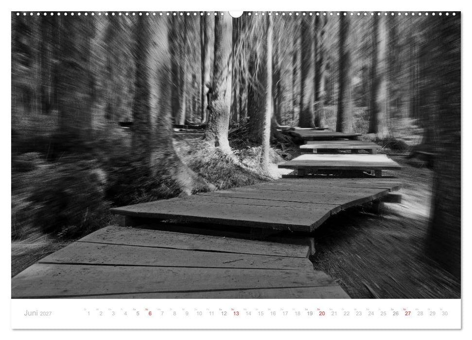 Mystischer Schwarzwald (CALVENDO Premium Wandkalender 2027)