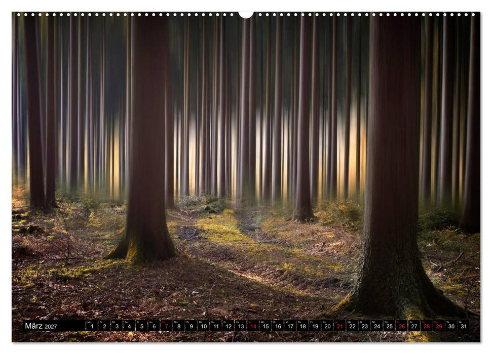 Zauberhafter Sachsenwald (CALVENDO Premium Wandkalender 2027)