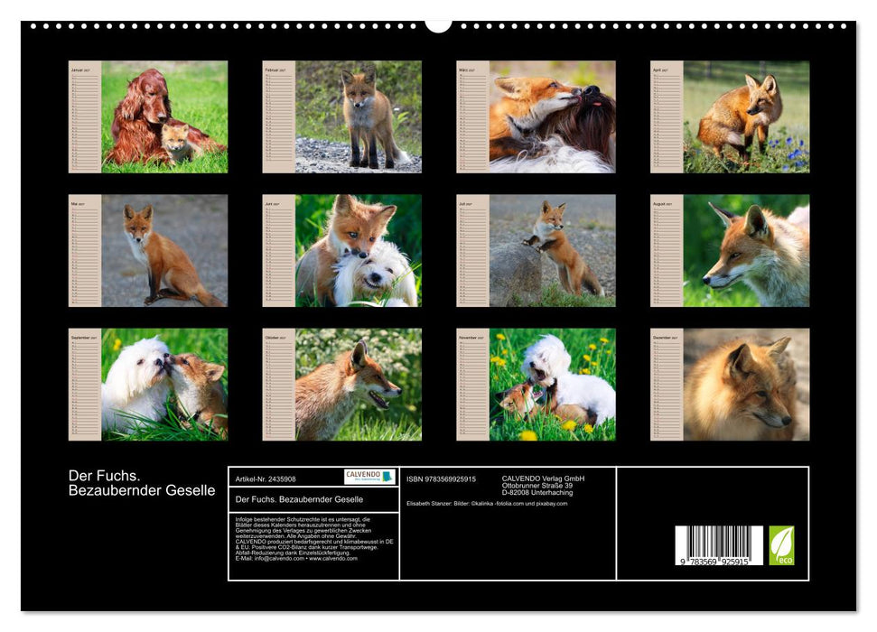 Der Fuchs. Bezaubernder Geselle (CALVENDO Premium Wandkalender 2027)