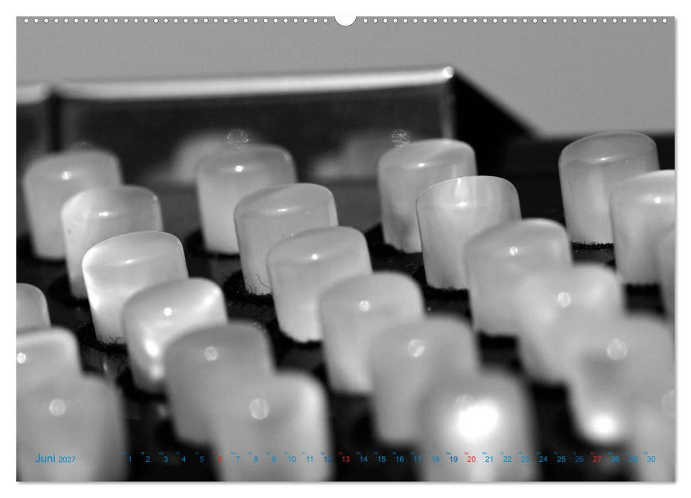 Akkordeon - close up (CALVENDO Wandkalender 2027)