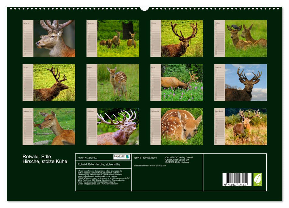 Rotwild. Edle Hirsche, stolze Kühe (CALVENDO Premium Wandkalender 2027)