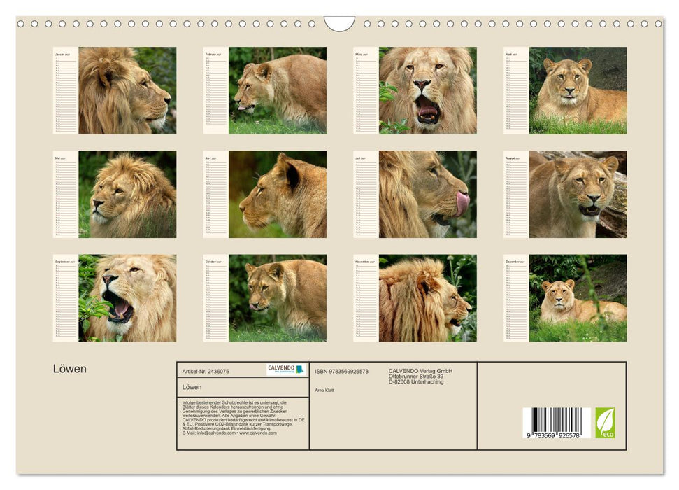 Löwen (CALVENDO Wandkalender 2027)