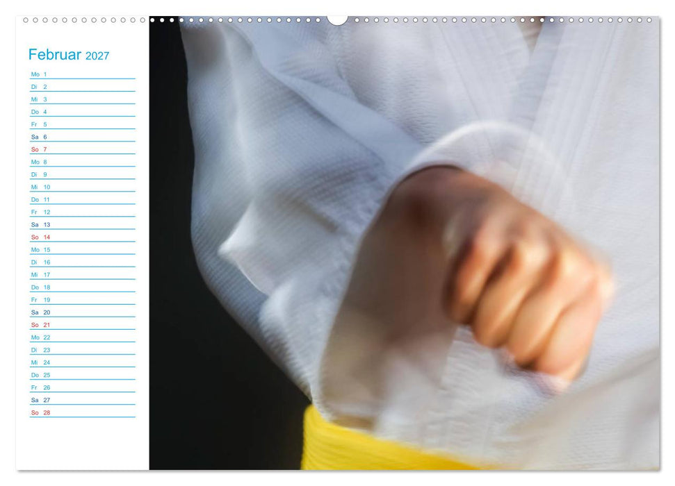 Kampfsport (CALVENDO Wandkalender 2027)