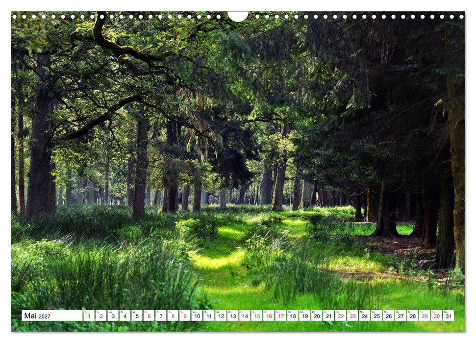 Wege gehen... (CALVENDO Wandkalender 2027)